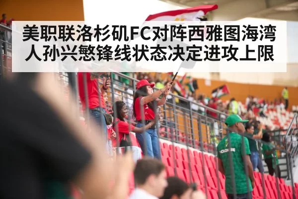 soccer stadium crowd